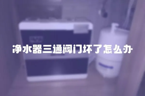 凈水器三通閥門壞了怎么辦