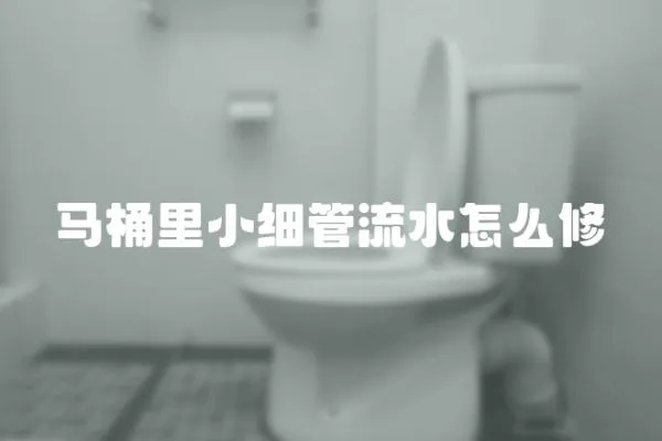 馬桶里小細管流水怎么修