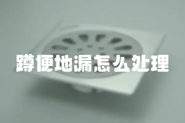 蹲便地漏怎么處理