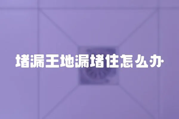 堵漏王地漏堵住怎么辦