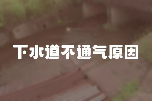 下水道不通氣原因