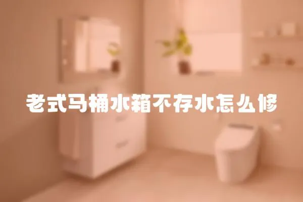 老式馬桶水箱不存水怎么修