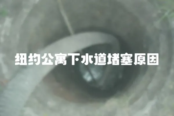 紐約公寓下水道堵塞原因