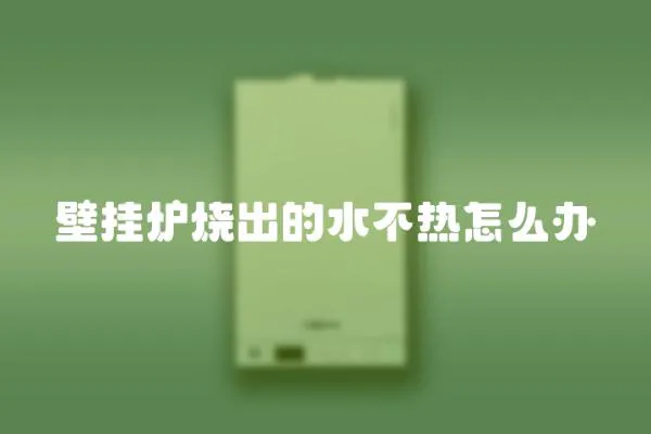 壁掛爐燒出的水不熱怎么辦