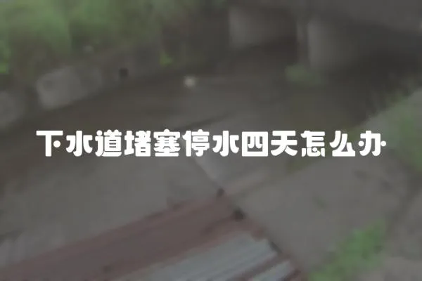 下水道堵塞停水四天怎么辦