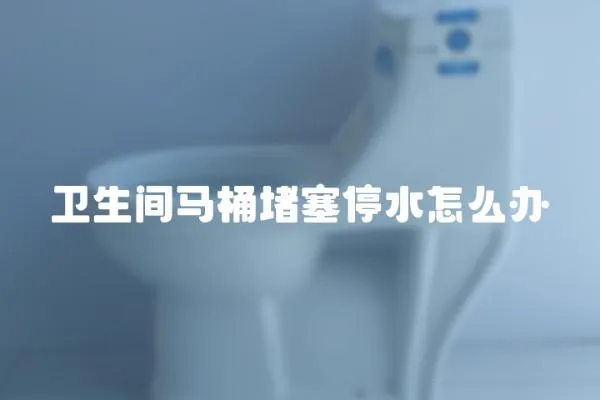 衛(wèi)生間馬桶堵塞停水怎么辦