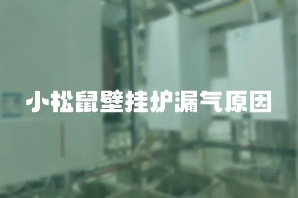 小松鼠壁掛爐漏氣原因