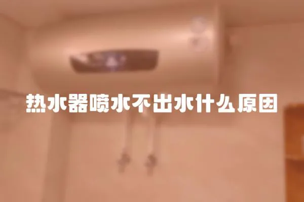 熱水器噴水不出水什么原因