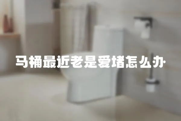 馬桶最近老是愛堵怎么辦