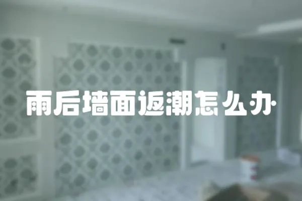 雨后墻面返潮怎么辦