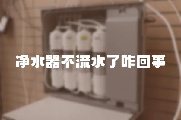 凈水器不流水了咋回事