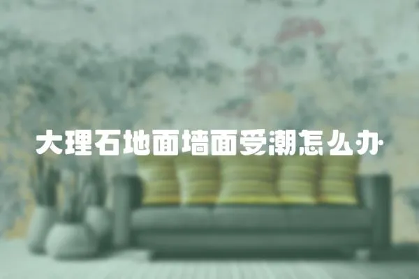 大理石地面墻面受潮怎么辦