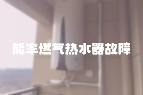 能率燃氣熱水器故障