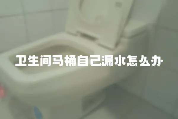 衛生間馬桶自己漏水怎么辦