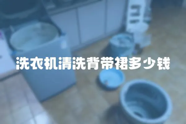 洗衣機清洗背帶裙多少錢