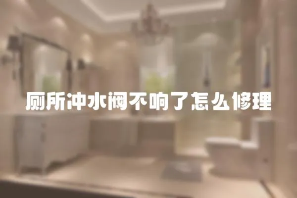 廁所沖水閥不響了怎么修理