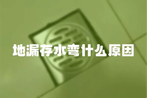 地漏存水彎什么原因