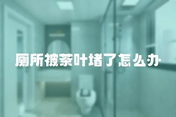 廁所被茶葉堵了怎么辦