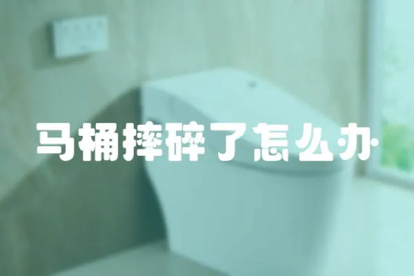 馬桶摔碎了怎么辦