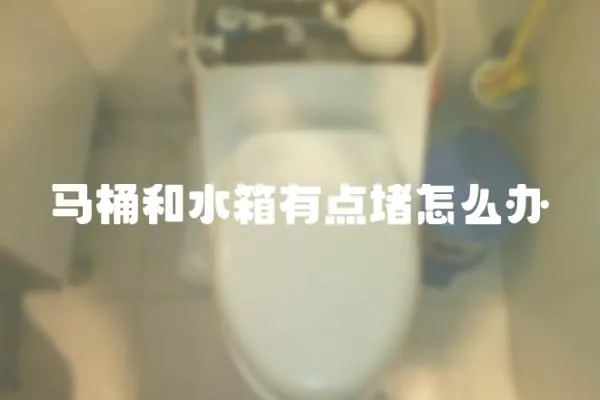 馬桶和水箱有點堵怎么辦
