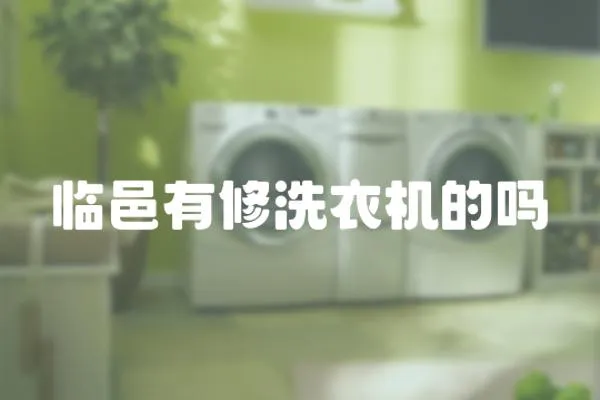 臨邑有修洗衣機的嗎