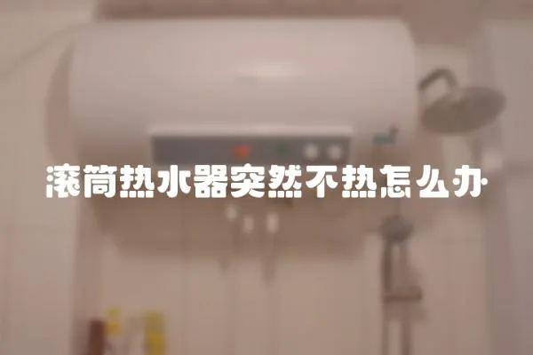 滾筒熱水器突然不熱怎么辦