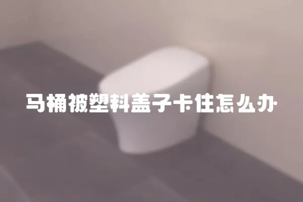 馬桶被塑料蓋子卡住怎么辦