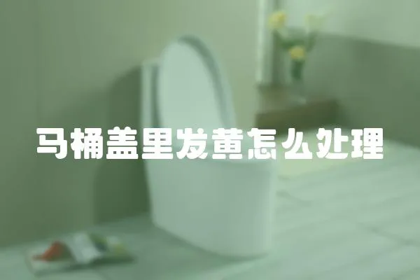 馬桶蓋里發(fā)黃怎么處理