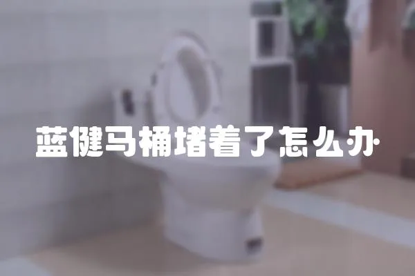 藍(lán)健馬桶堵著了怎么辦