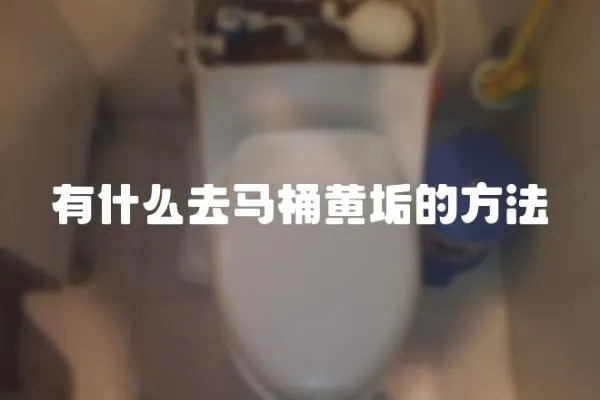 有什么去馬桶黃垢的方法