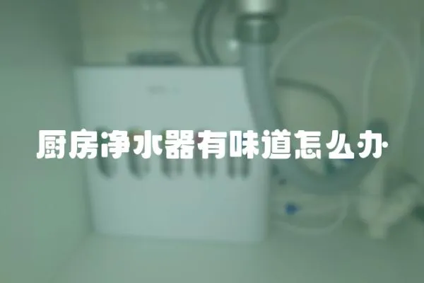 廚房凈水器有味道怎么辦