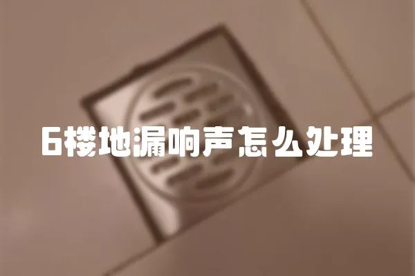 6樓地漏響聲怎么處理