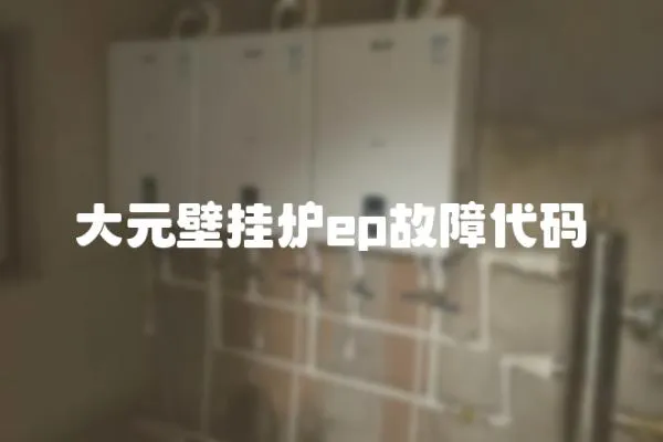 大元壁掛爐ep故障代碼