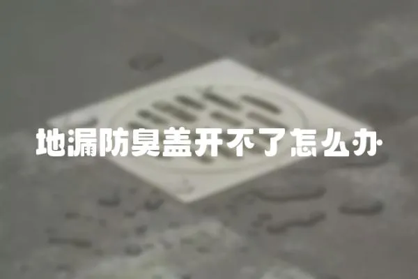 地漏防臭蓋開不了怎么辦