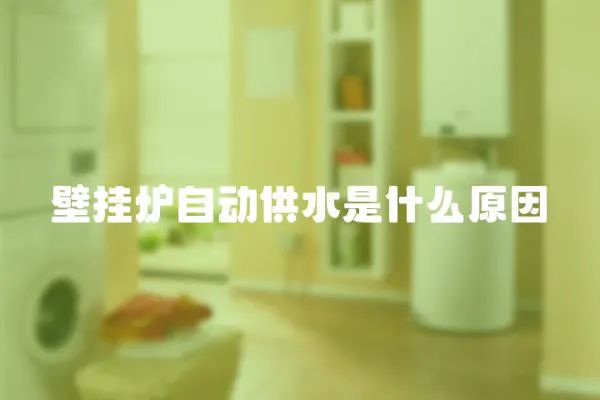 壁掛爐自動供水是什么原因
