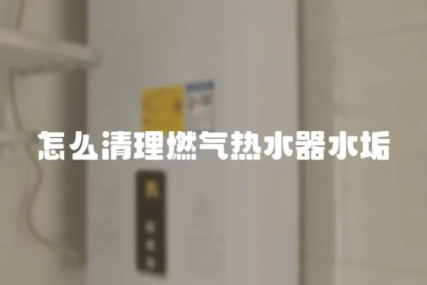怎么清理燃氣熱水器水垢
