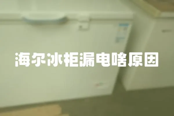 海爾冰柜漏電啥原因