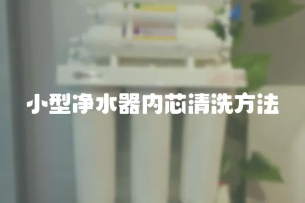 小型凈水器內芯清洗方法