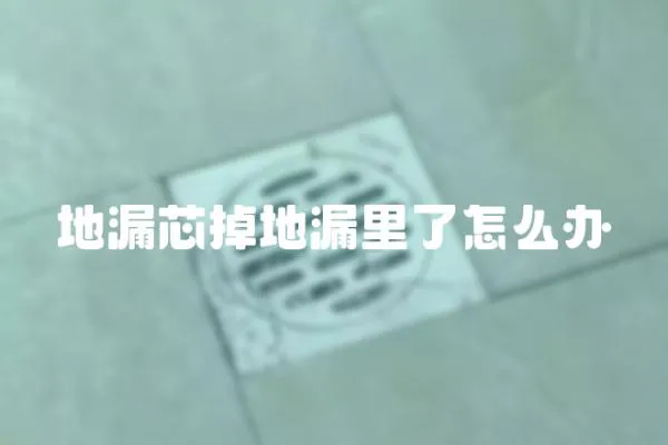 地漏芯掉地漏里了怎么办