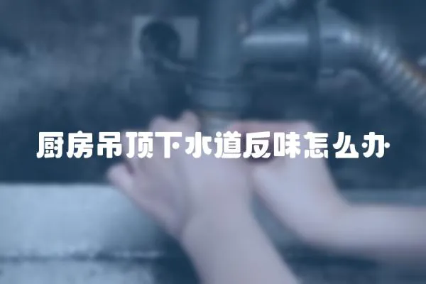 廚房吊頂下水道反味怎么辦