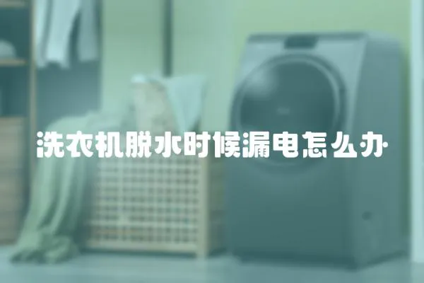 洗衣機(jī)脫水時(shí)候漏電怎么辦