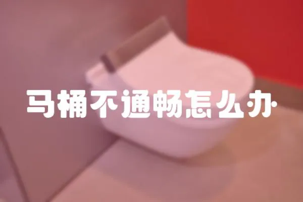 馬桶不通暢怎么辦