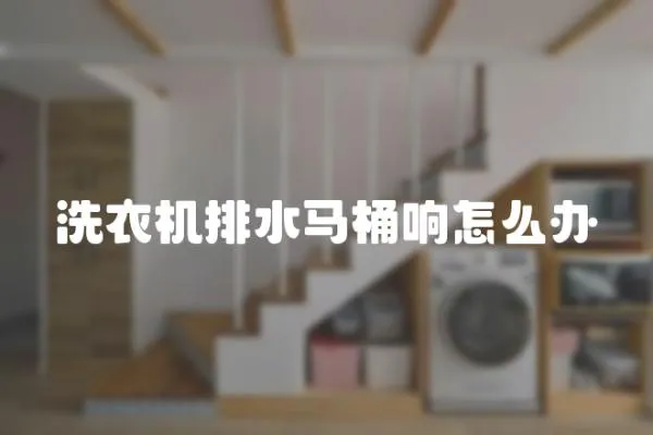 洗衣機排水馬桶響怎么辦