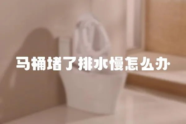 馬桶堵了排水慢怎么辦