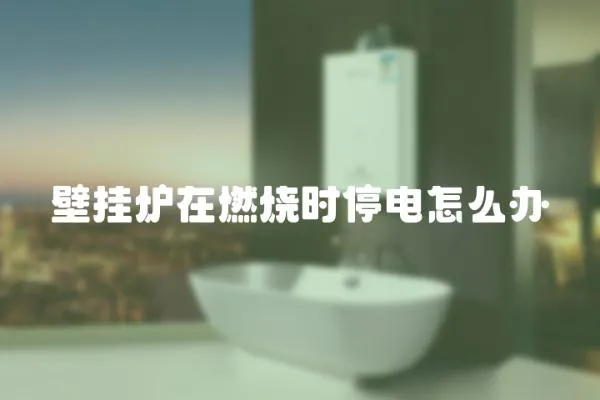 壁掛爐在燃燒時(shí)停電怎么辦