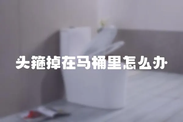 頭箍掉在馬桶里怎么辦