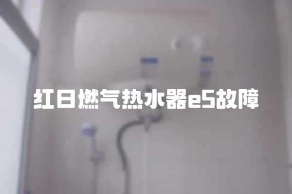 红日燃气热水器e5故障