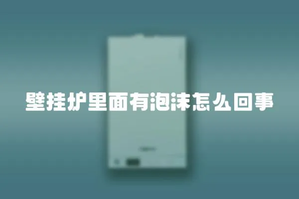 壁掛爐里面有泡沫怎么回事