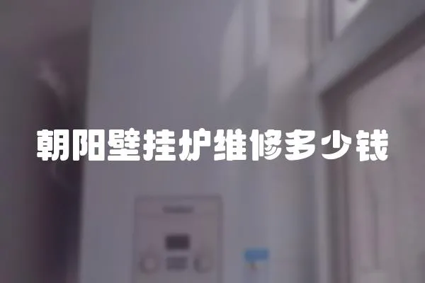 朝陽壁掛爐維修多少錢