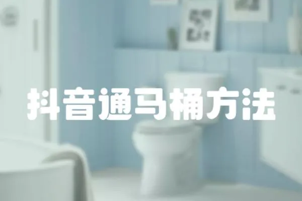 抖音通馬桶方法